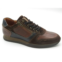 Overview image: Australian sneaker bruin 22