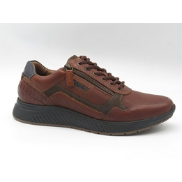 Overview image: Australian sneaker bruin 32