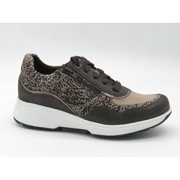 Overview image: Xsensible Stretchwalker sneaker bruin combi 32